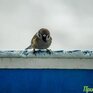 Синоптики озвучили прогноз погоды на рабочую неделю: со среды в Приморье серьезно похолодает