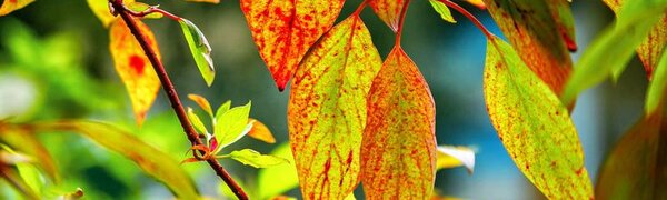 В ближайшие дни похолодание в Приморье продолжится