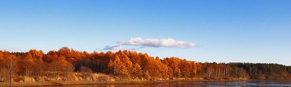 В пятницу в Приморье прояснит и потеплеет