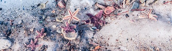 В воскресенье в Приморье потеплело