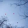 В Приморье снова похолодало