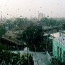Дождя, который бы смыл пыль с улиц Владивостока, пока не ожидается
