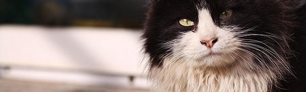 Самый тёплый день с начала года ждёт Владивосток 30 января