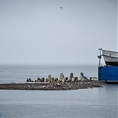 После дождя жители Владивостока наконец увидят солнце