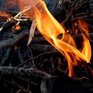 В Приморском крае повышается класс пожароопасности леса по метеоусловиям