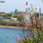 В середине недели погода в Приморье будет неустойчивой
