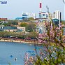 В середине недели погода в Приморье будет неустойчивой