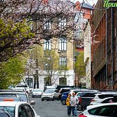 В середине недели погода в Приморье будет неустойчивой