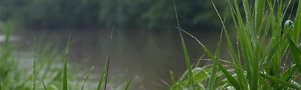 На реках Приморья продолжится подъём уровня воды