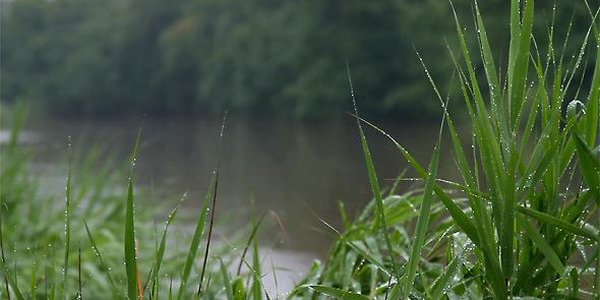 На реках Приморья продолжится подъём уровня воды