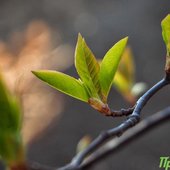 Погода в Приморье на выходных: немного солнца и дождя