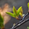 Погода в Приморье на выходных: немного солнца и дождя