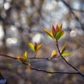 Погода в Приморье на выходных: немного солнца и дождя