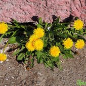 Погода в Приморье на выходных: немного солнца и дождя