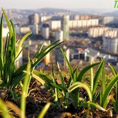 Погода в Приморье на выходных: немного солнца и дождя