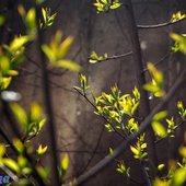 Погода в Приморье на выходных: немного солнца и дождя