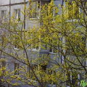 Погода в Приморье на выходных: немного солнца и дождя
