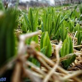 Погода в Приморье на выходных: немного солнца и дождя