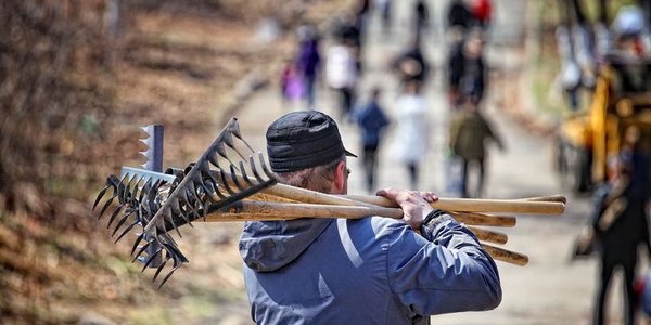 Жителей Владивостока призывают выйти на городской субботник