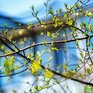 Погода в Приморье на выходных: немного солнца и дождя