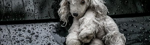 Во вторник осадки в Приморье возобновятся, похолодает