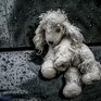 Во вторник осадки в Приморье возобновятся, похолодает
