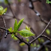 Погода в Приморье на выходных: немного солнца и дождя