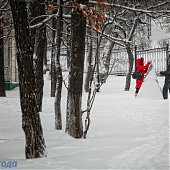 Во Владивостоке весна началась снегопадом