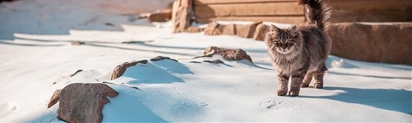 В выходные дни Приморье охватят суровые крещенские морозы