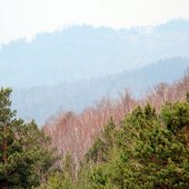 Смог от лесных пожаров в Забайкалье и Чите