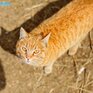 Март прощается с Приморьем спокойной погодой