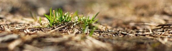 Контрастная погода ожидается в Приморье в первые выходные апреля