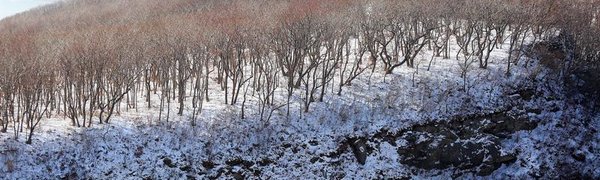 Высота снежного покрова в Приморье по-прежнему ниже нормы