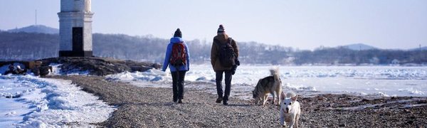 Завтрашний день во Владивостоке будет холодным и ветреным
