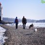 Завтрашний день во Владивостоке будет холодным и ветреным