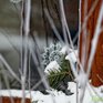 Среднесуточная температура в Приморье на 4 — 9 градусов ниже климатической нормы