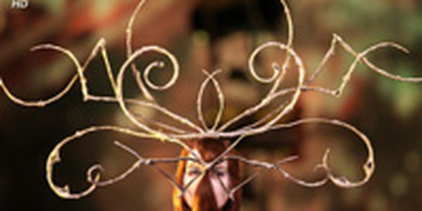 Фестиваль современного искусства «Мамонт»