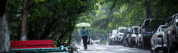 Сегодня на юге Приморского края снова начнутся дожди
