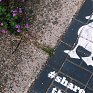 В Англии появились пешеходные дорожки для уток