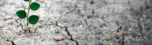 2016-й будет самым жарким годом в истории метеонаблюдений