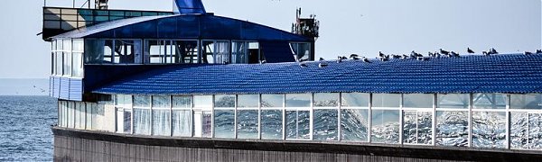В Приморье установилась жаркая с кратковременными дождями погода