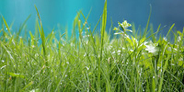 В ближайшие сутки погода в Приморье улучшится