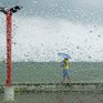 Тропический шторм «Дуджуан» достиг зоны Филиппин