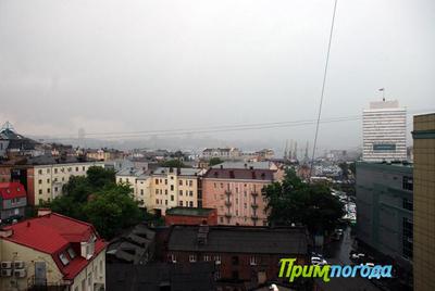 Завтра во Владивостоке ожидаются туман и морось