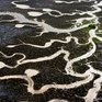 Сегодня отмечается Всемирный день водных ресурсов