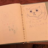 Японское котокафе