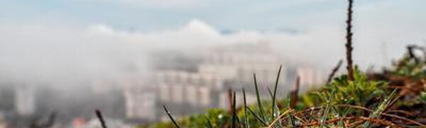 Холодный морской воздух изменит погоду на побережье Приморья в четверг