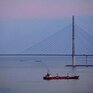 Туман с моросью возможны на побережье Приморья в пятницу