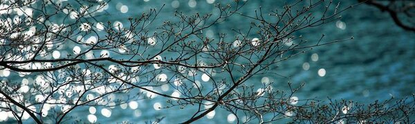 День 22 апреля стал самым теплым во Владивостоке с начала весны