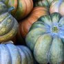 Весит больше тонны: в США вырастили самую большую тыкву